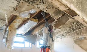 Best Mold Odor Removal Services  in Lake Marcel Stillter, WA